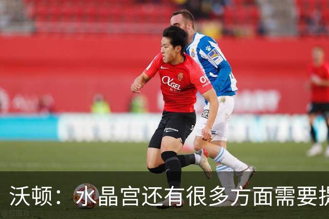 沃顿：水晶宫还有很多方面需要提升，不过我们在朝着正确方向迈进